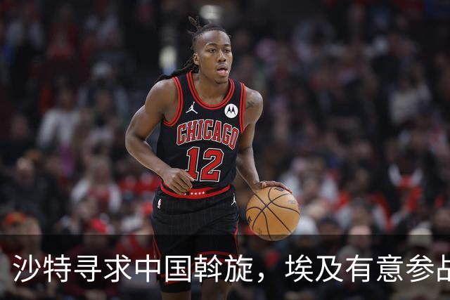 沙特寻求中国斡旋，埃及有意参战也门发出警告