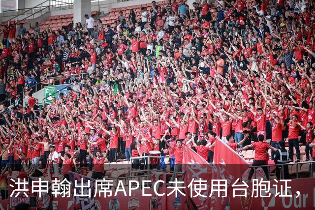 洪申翰出席APEC未使用台胞证，强调平等与尊重