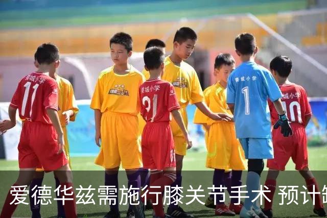 爱德华兹需施行膝关节手术 预计缺席两个月
