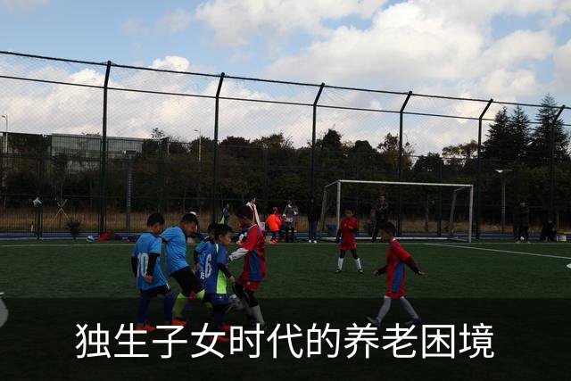 独生子女时代的养老困境