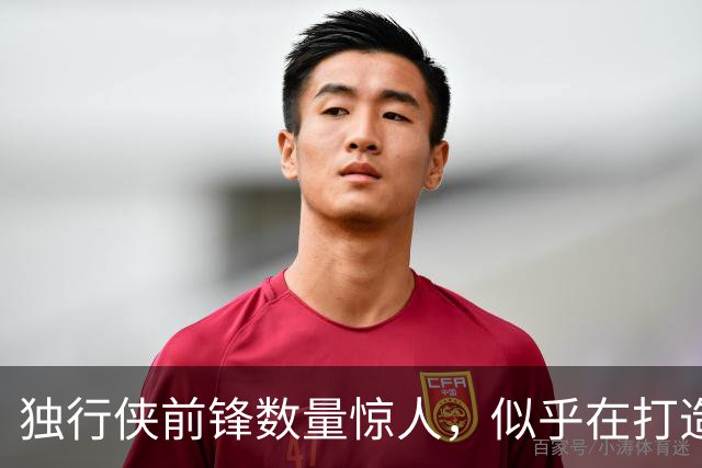 独行侠前锋数量惊人，似乎在打造锋线集群