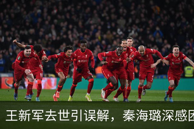 王新军去世引误解，秦海璐深感困惑