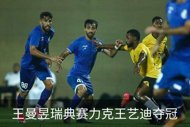 王曼昱瑞典赛力克王艺迪夺冠