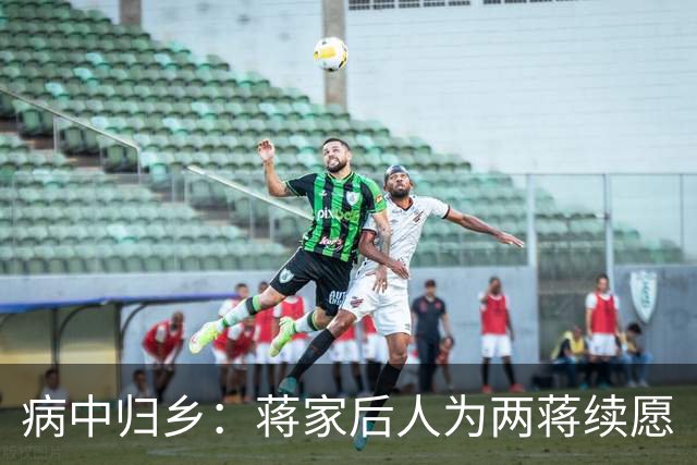 病中归乡：蒋家后人为两蒋续愿