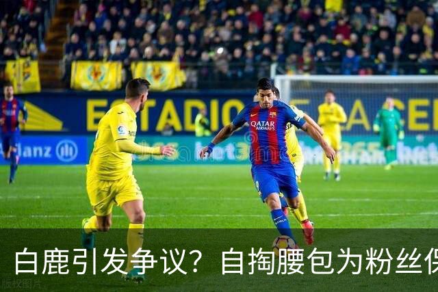 白鹿引发争议？自掏腰包为粉丝保障，却遭到指责