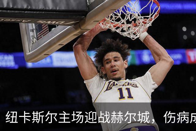 纽卡斯尔主场迎战赫尔城，伤病成最大隐患