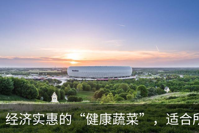 经济实惠的“健康蔬菜”，适合所有人群，促进消化与护眼