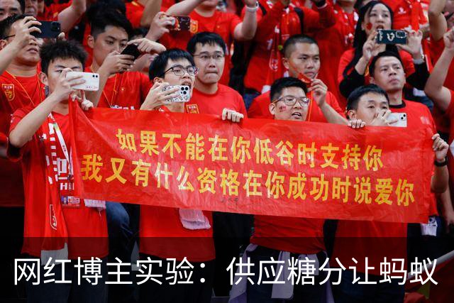 网红博主实验：供应糖分让蚂蚁“暴富”并观察反应