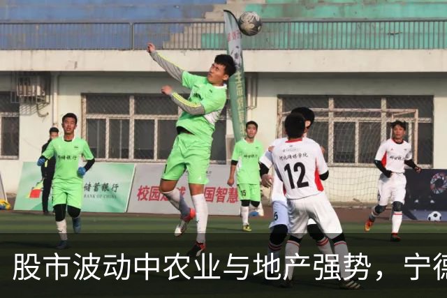 股市波动中农业与地产强势，宁德时代再遭重挫