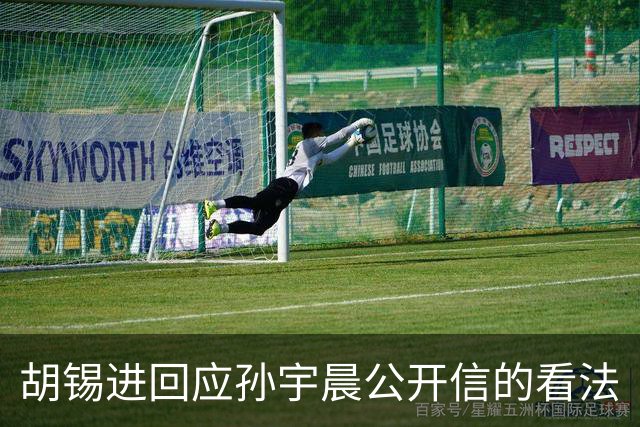 胡锡进回应孙宇晨公开信的看法