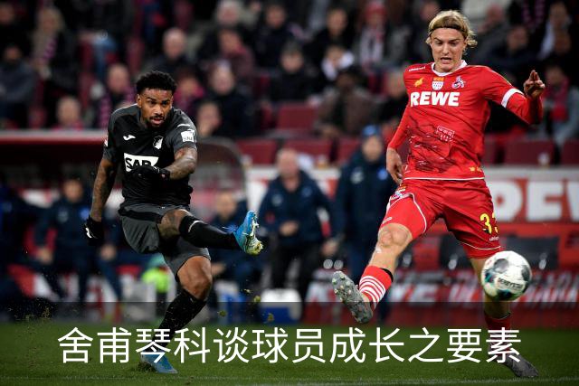 舍甫琴科谈球员成长之要素