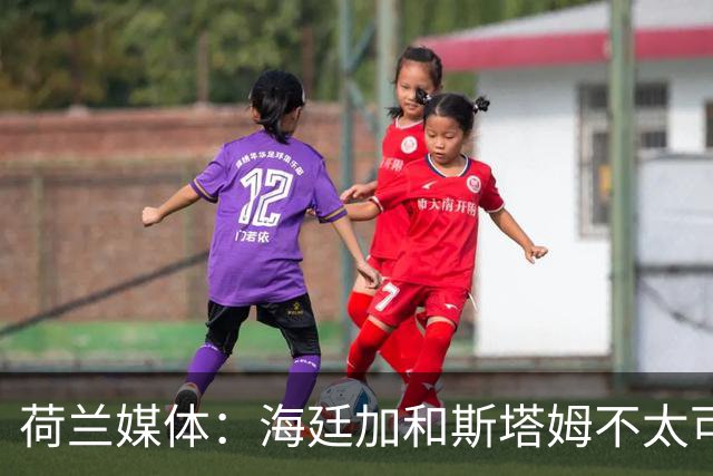荷兰媒体：海廷加和斯塔姆不太可能执教兹沃勒