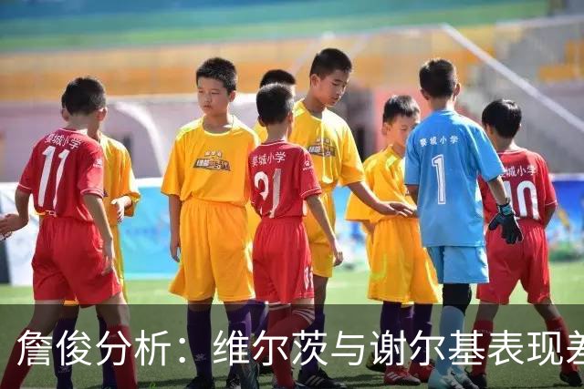 詹俊分析：维尔茨与谢尔基表现差距明显