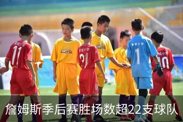 詹姆斯季后赛胜场数超22支球队