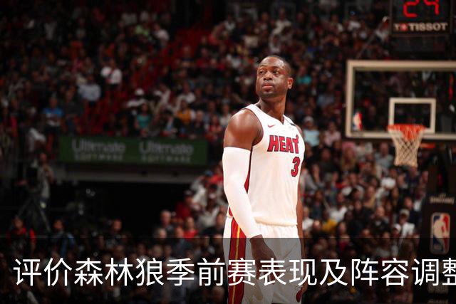 评价森林狼季前赛表现及阵容调整的风险