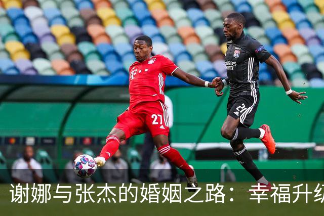 谢娜与张杰的婚姻之路：幸福升级与人生转变