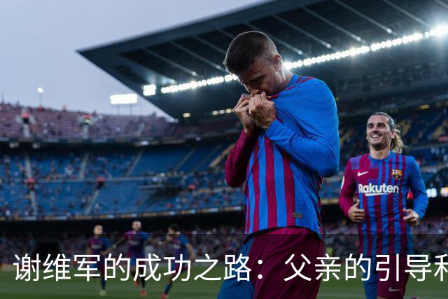 谢维军的成功之路：父亲的引导和自身的奋斗