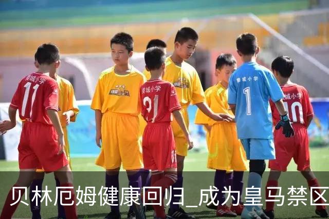 贝林厄姆健康回归 成为皇马禁区利器