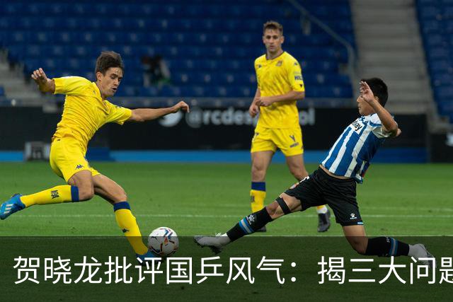 贺晓龙批评国乒风气：揭三大问题，教练受压制