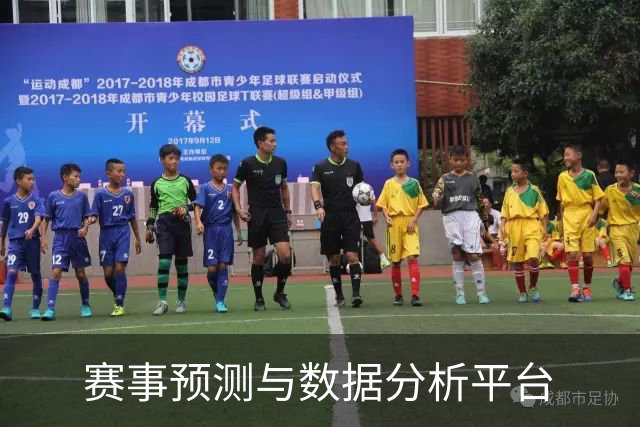 赛事预测与数据分析平台