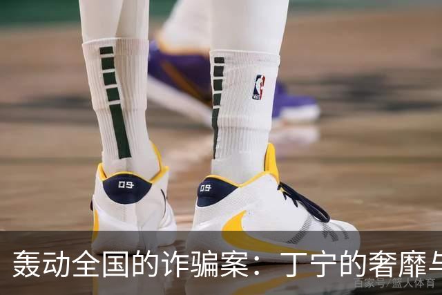 轰动全国的诈骗案：丁宁的奢靡与贪婪