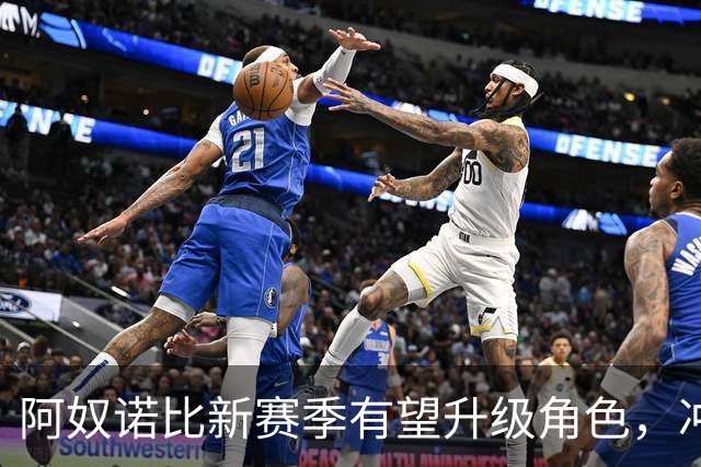 阿奴诺比新赛季有望升级角色，冲击全明星
