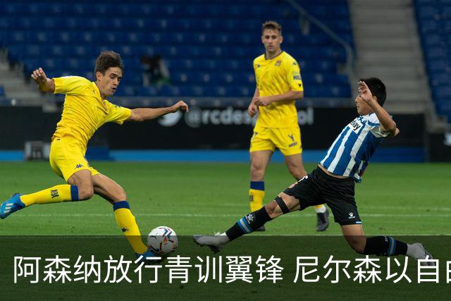 阿森纳放行青训翼锋 尼尔森以自由身离队