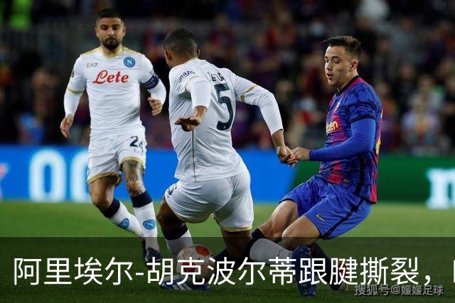 阿里埃尔-胡克波尔蒂跟腱撕裂，NBA前景堪忧