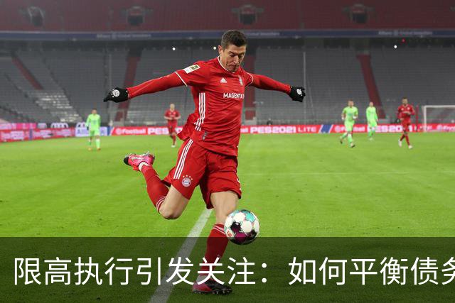 限高执行引发关注：如何平衡债务人和债主的利益？