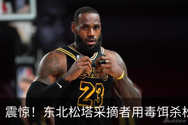 震惊！东北松塔采摘者用毒饵杀松鼠破坏生态