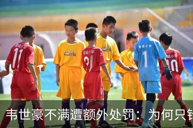 韦世豪不满遭额外处罚：为何只针对我？