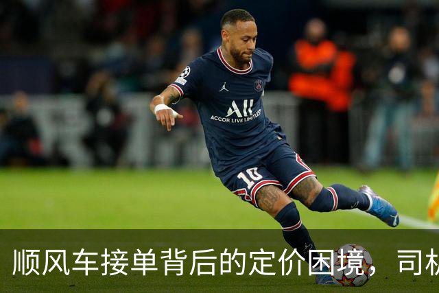 顺风车接单背后的定价困境，司机如同拆盲盒