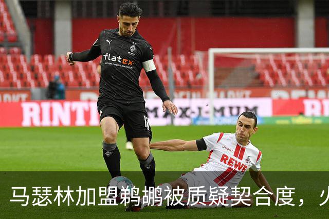 马瑟林加盟鹈鹕被质疑契合度，火箭或森林狼更适合