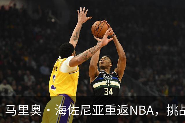马里奥·海佐尼亚重返NBA，挑战与期待并存
