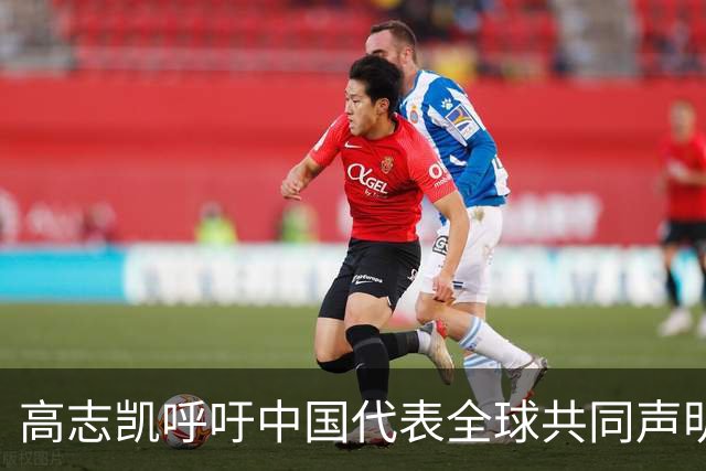 高志凯呼吁中国代表全球共同声明月球主权