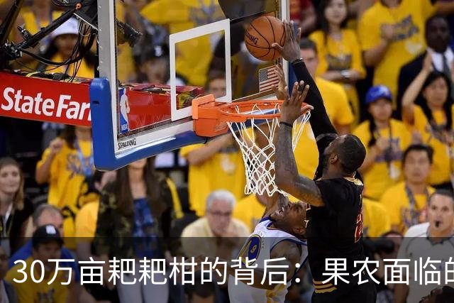 30万亩耙耙柑的背后：果农面临的困境与无奈
