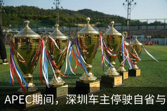 APEC期间，深圳车主停驶自省与便利的选择