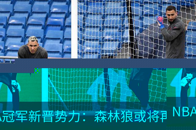 NBA冠军新晋势力：森林狼或将再创辉煌