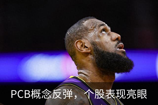 PCB概念反弹，个股表现亮眼